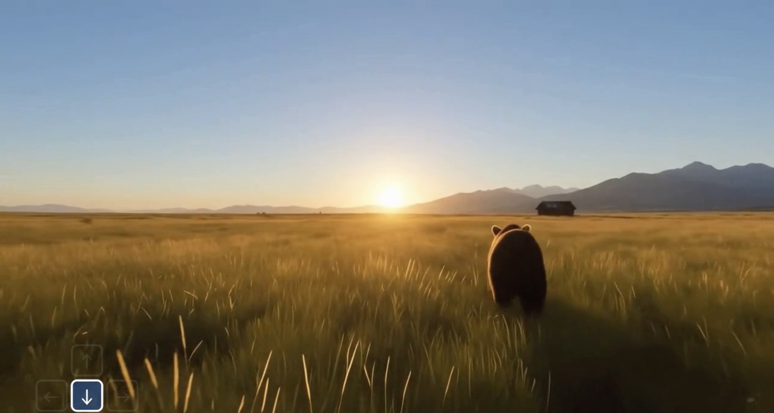 Dynamic Creator Control